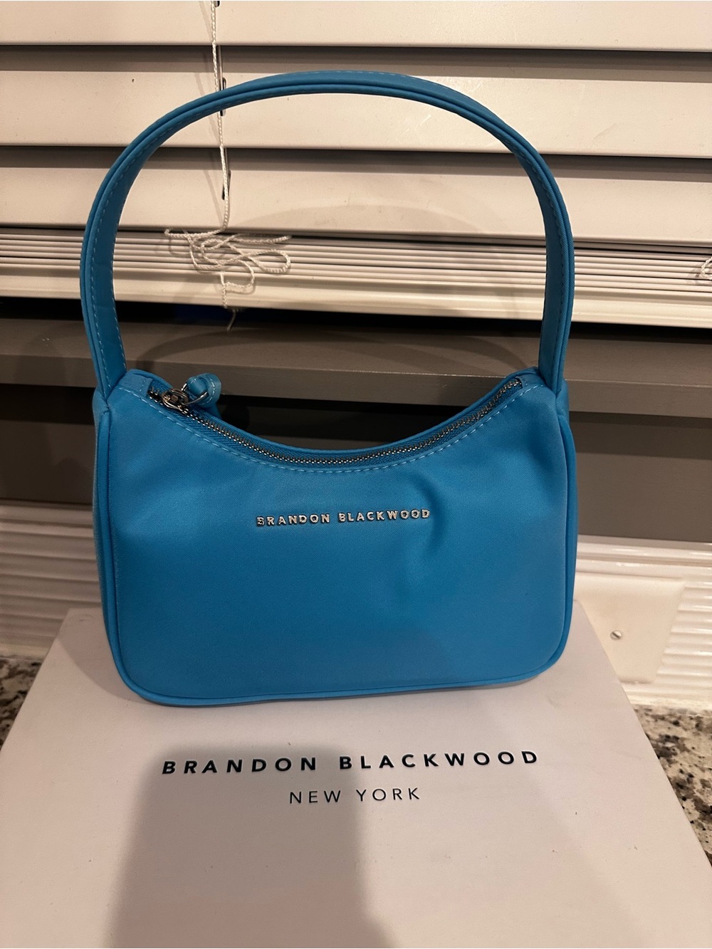 Brandon Blackwood | Syl Bag (Nylon Pool Blue)